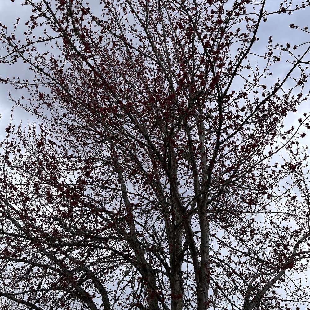 Meet your Posher, Fady